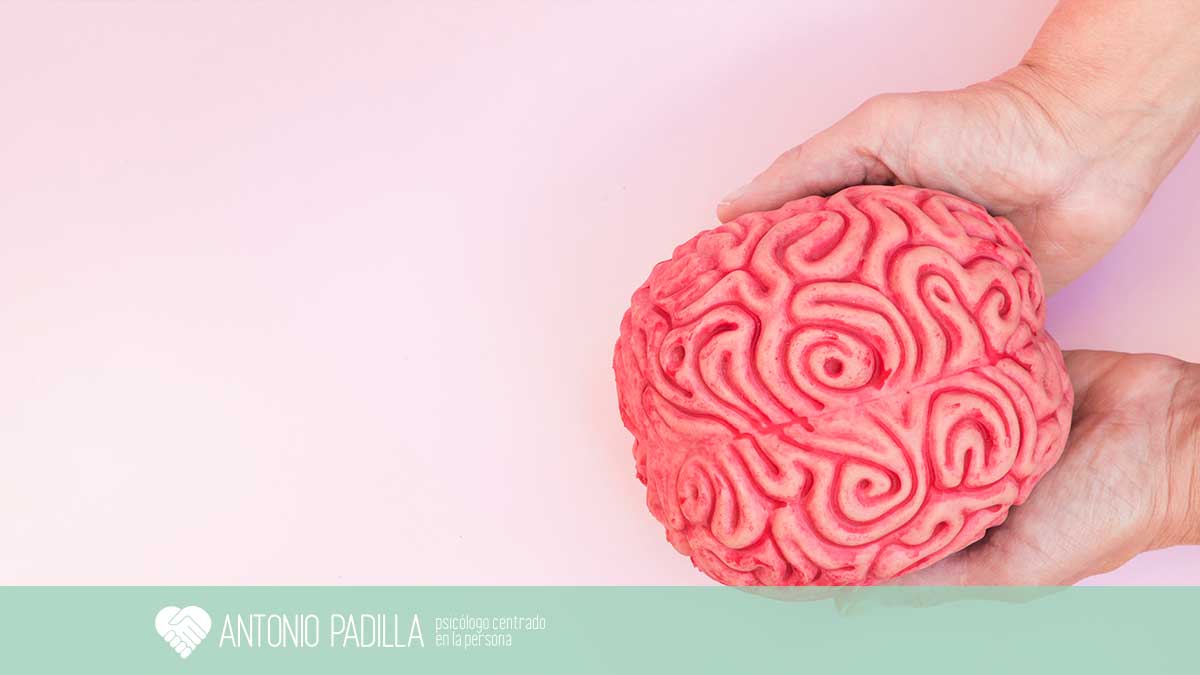 Psicoterapias en venta